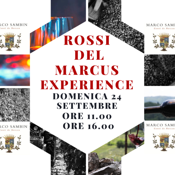 Domenica 24 settembre: Rossi del Marcus Experience